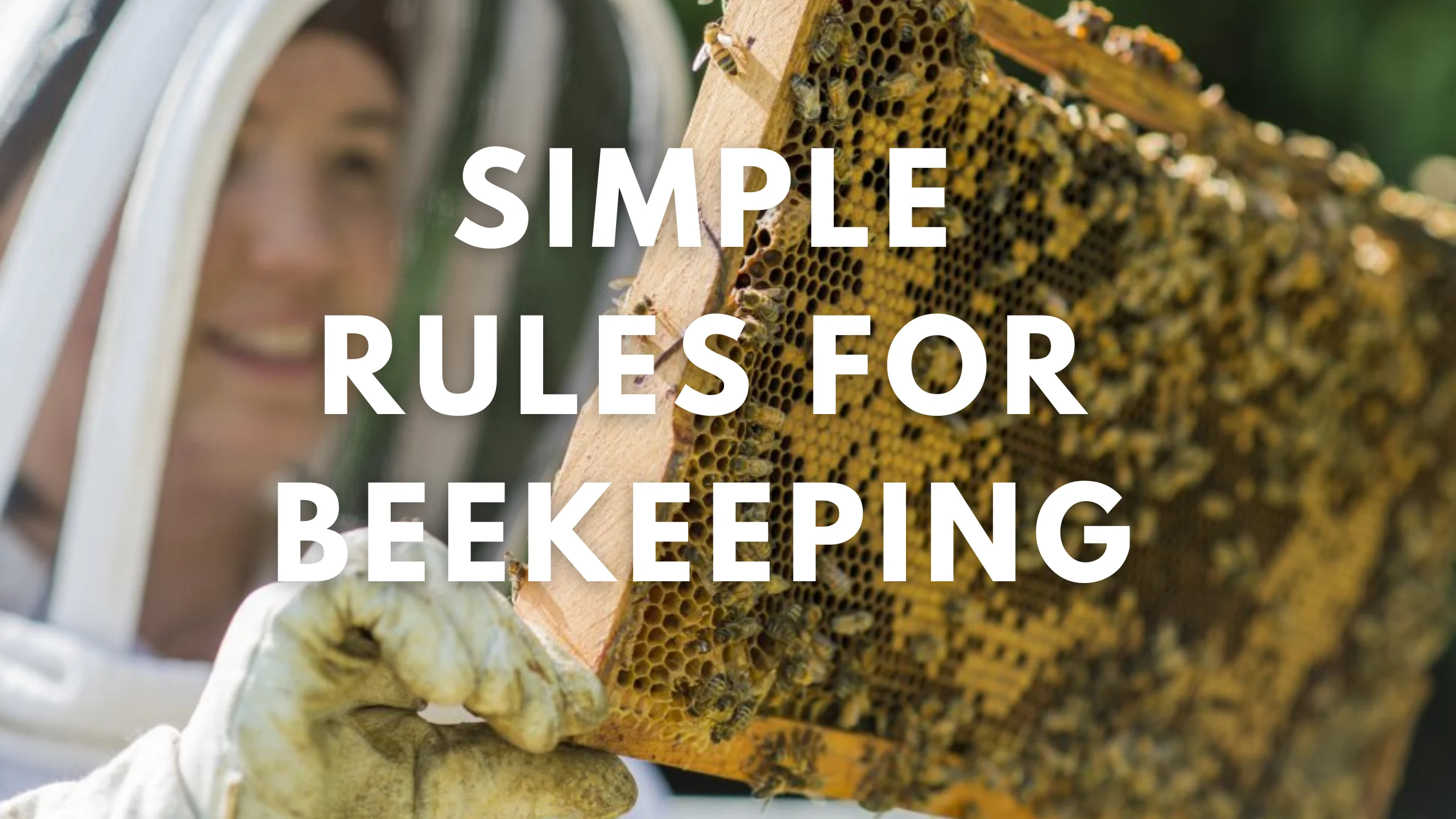 Simple Rules for Beekeeping for Beginners
