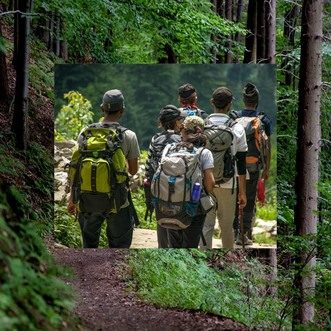 Hiking Tips for Beginners: How to Prepare and What to Expect