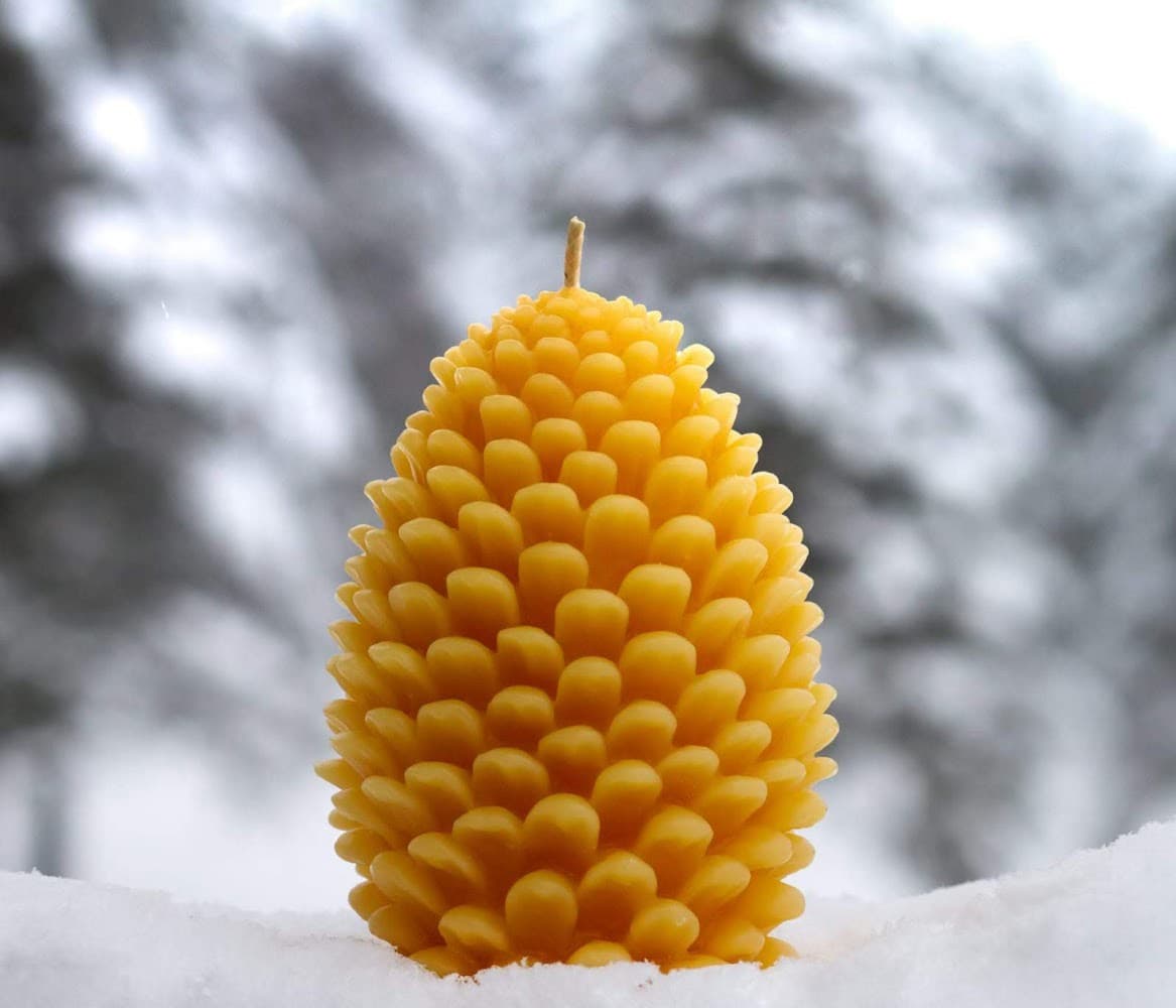 Why You Should Buy Beeswax Candles from a Local Beekeeper